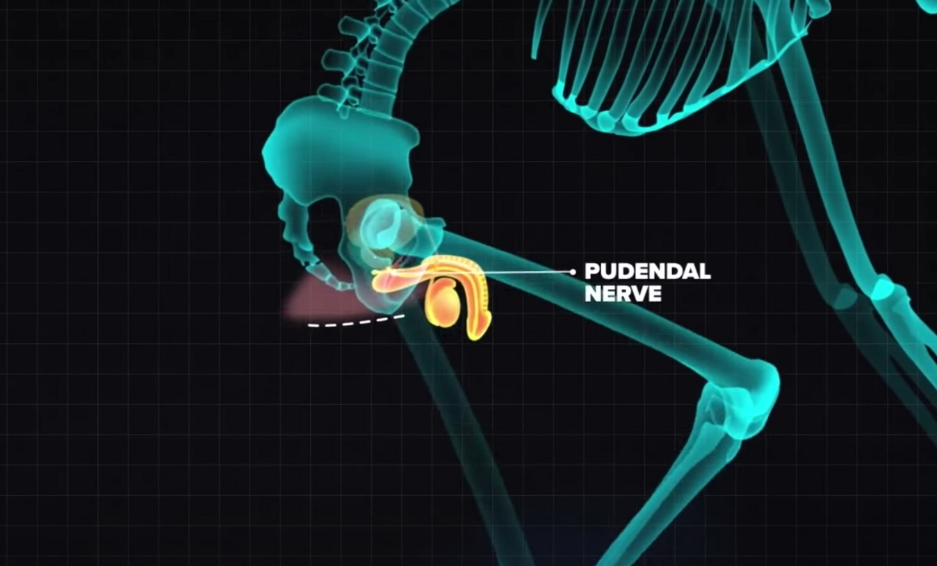 How to avoid getting a numb penis while cycling GCN